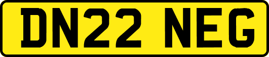 DN22NEG