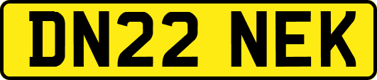 DN22NEK
