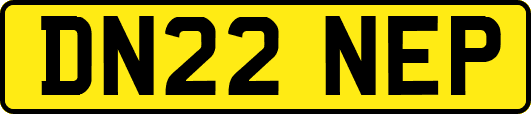 DN22NEP