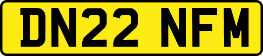 DN22NFM