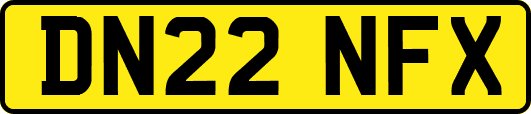 DN22NFX