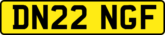 DN22NGF
