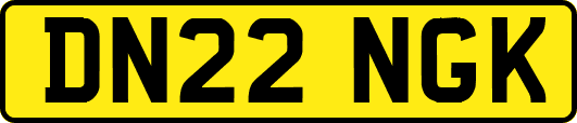 DN22NGK