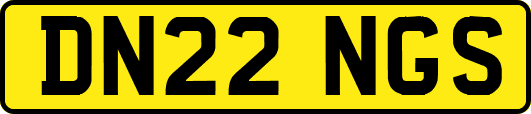 DN22NGS