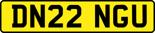 DN22NGU