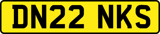 DN22NKS