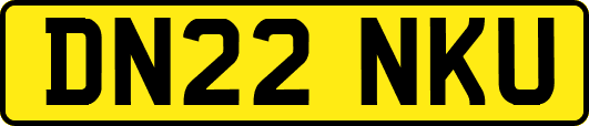 DN22NKU