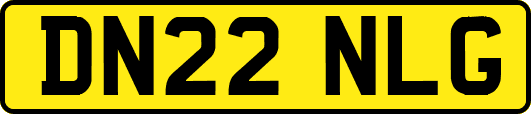 DN22NLG