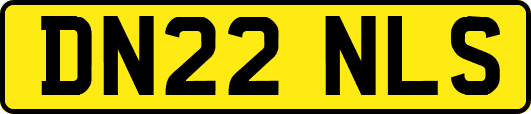 DN22NLS