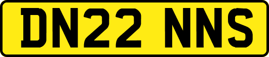 DN22NNS