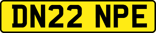 DN22NPE