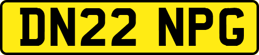 DN22NPG