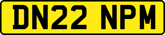 DN22NPM