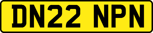 DN22NPN