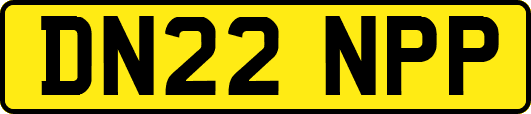 DN22NPP