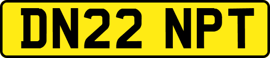 DN22NPT