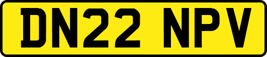 DN22NPV