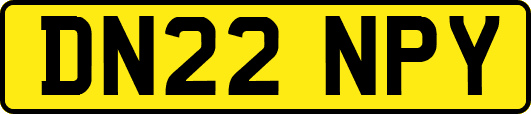 DN22NPY