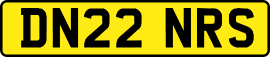DN22NRS