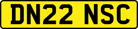 DN22NSC