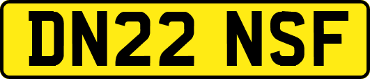 DN22NSF