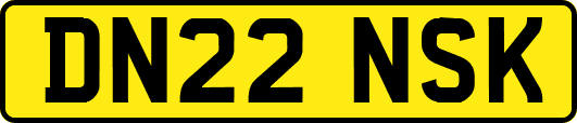 DN22NSK