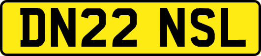DN22NSL
