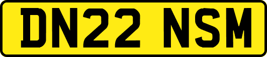 DN22NSM