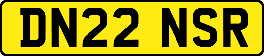 DN22NSR