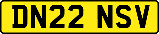 DN22NSV