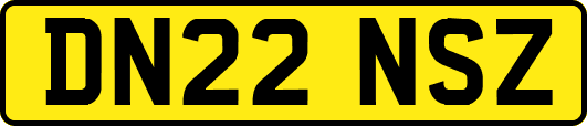 DN22NSZ