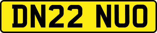 DN22NUO