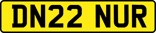 DN22NUR