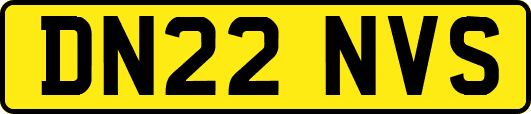 DN22NVS