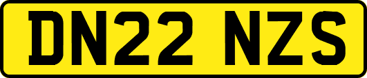 DN22NZS