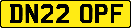 DN22OPF
