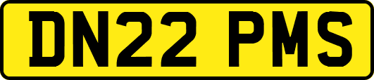DN22PMS
