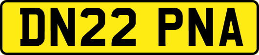 DN22PNA