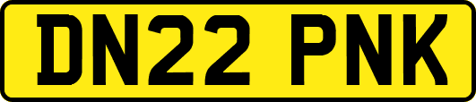 DN22PNK
