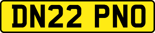 DN22PNO