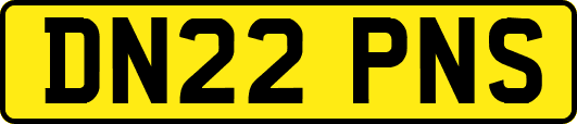 DN22PNS