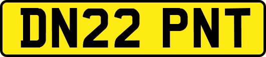 DN22PNT