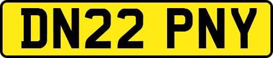DN22PNY