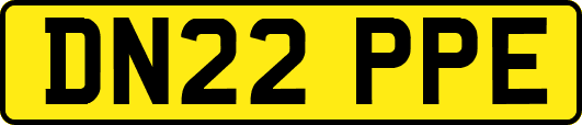 DN22PPE