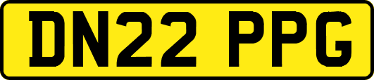 DN22PPG