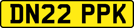 DN22PPK