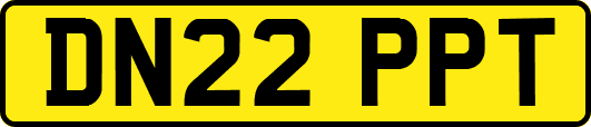 DN22PPT