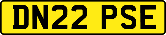 DN22PSE
