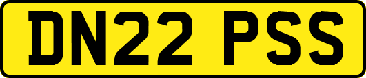 DN22PSS