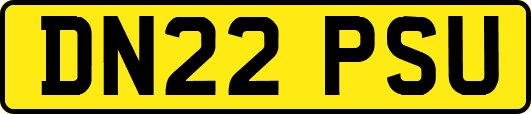 DN22PSU